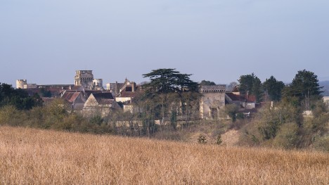 120228-bourgogne-druyes-bonshommes-chateau.jpg