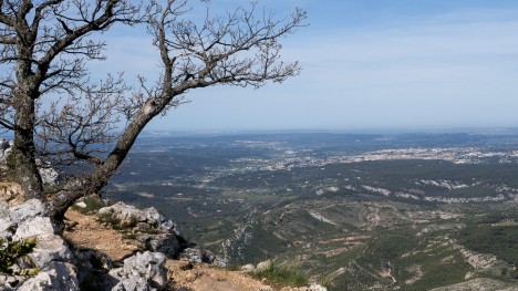 120425-provence-sainte-victoire-sentier-imoucha.jpg
