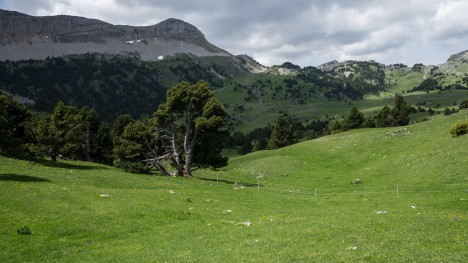 120531-vercors-quatre-tetes-sommet-montagnette.jpg