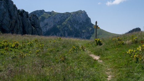 120725-chartreuse-col-lechaud-grand-som.jpg
