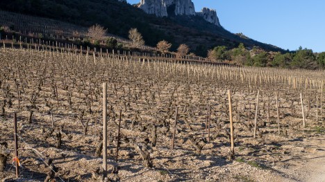 130321-provence-dentelles-montmirail-rocher-turc.jpg