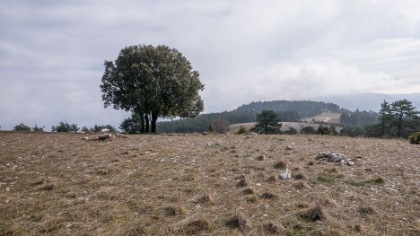 Crête du Mourre Nègre vers l'Est