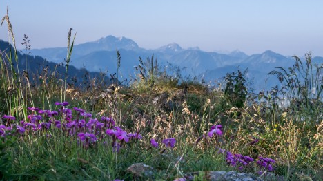 Le Roc d'Enfer, les pointes de Chavasse et de Chalune