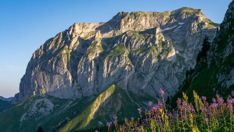 Au Col du Serpentin, les Cornettes de Bise