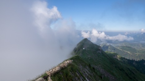 Les moutons de la Pointe d'Angolon