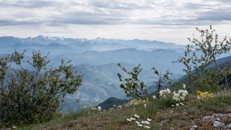 Au sommet du Pic de Fourneuby