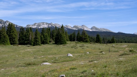 Crête orientale du Vercors