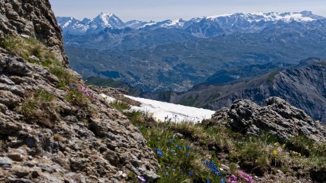 La Grande Casse