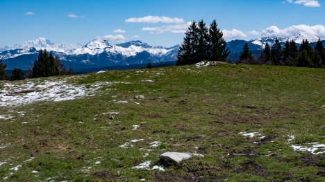 À travers l'alpage du Mont Revard