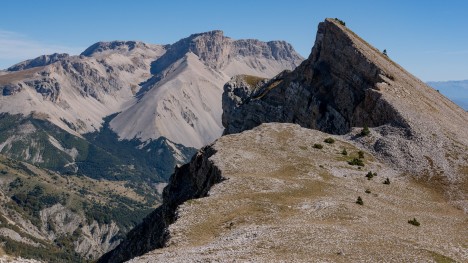 La Tête des Ormans