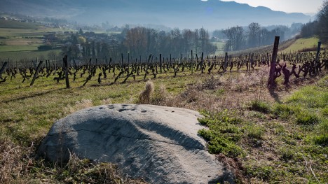 Bloc cupulaire de La Roche
