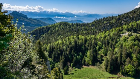 La combe herbeuse de Vararey
