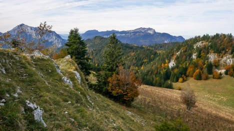 Le Col de l'Aliénard