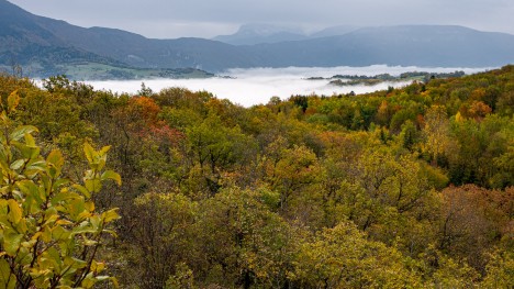 Point de vue du Molard Grandjean