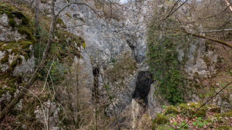 Les Fenêtres de la Burbanche