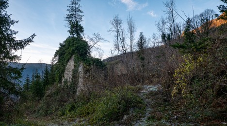 Ruine de la Chartreuse du Val Sainte-Marie