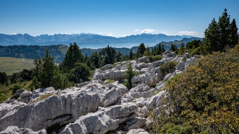 Lapiaz géant du Pinet