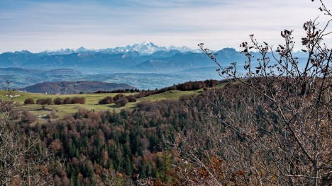 Sur la crête de l'Hergues