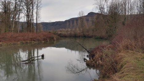 Au bord de la lône, qui sépare Rossillon de l'Ile de Noyes