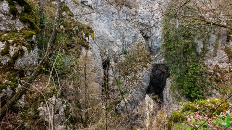 Les Fenêtres de la Burbanche