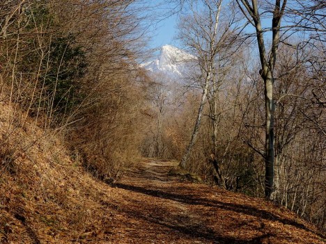 Les Rochers de Chalves