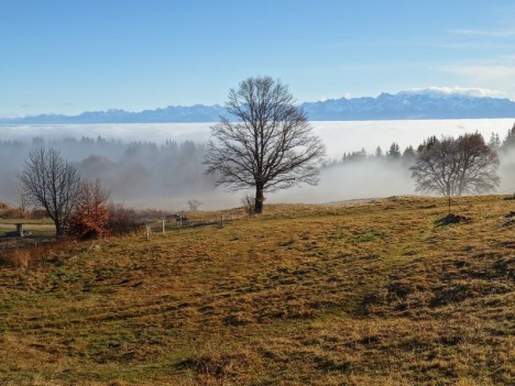 Au Plateau de la Molière, nov. 2021