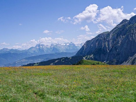 Les Aiguilles Rouges au loin
