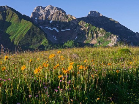 Au Col de Cenise : la Pointe Blanche et le Pic de Jalouvre