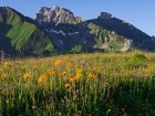 Au Col de Cenise : la Pointe Blanche et le Pic de Jalouvre