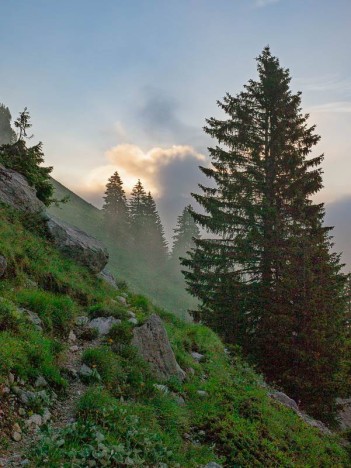 Sur le chemin de Montarquis