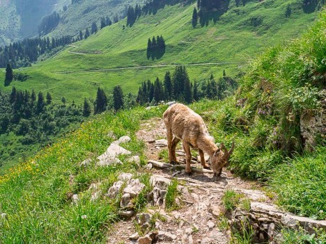 La soif de l'Étagne