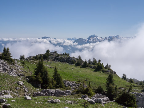 Descente du Petit Bargy