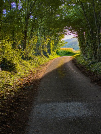 Contrejour sur la route du Borgey