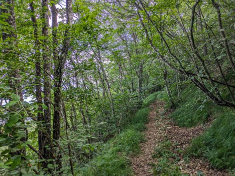 Le sentier du Balcon du Recorba