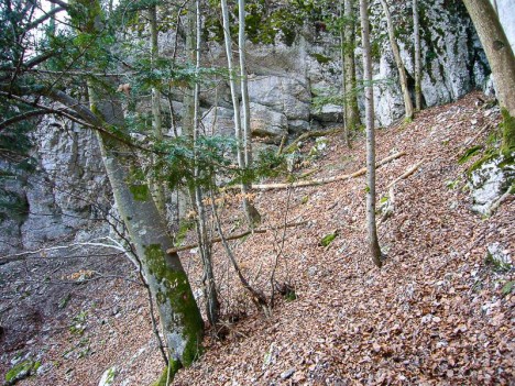 Le renfoncement des grottes sous les falaises Est