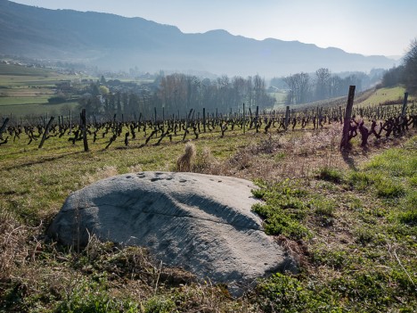 Bloc cupulaire de La Roche