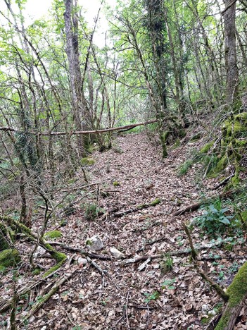 Chemin de la Combe Charbonnière, juil. 2023