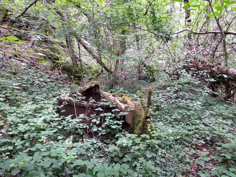 Reste du fourneau à charbon de bois avant le désherbage, juil. 2023