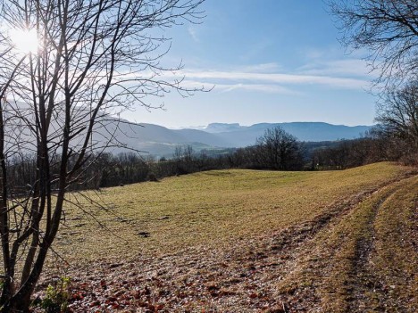 La Chartreuse et le Mont Granier au loin