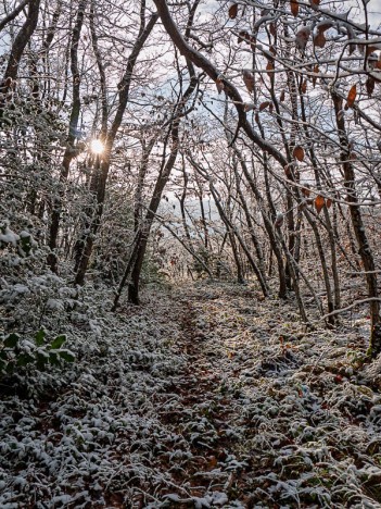 Contre jour, la Léchère