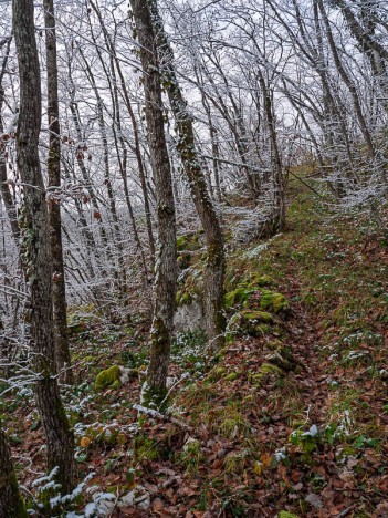 Au bord de la Léchère