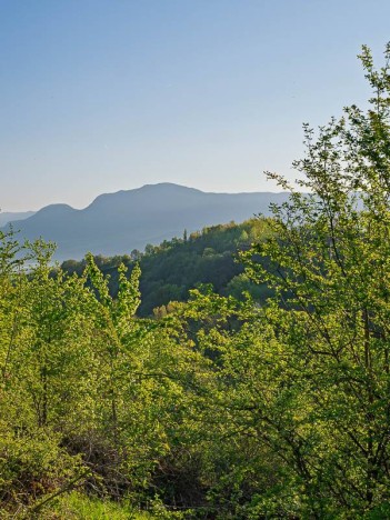 Le Mont de la Charvaz