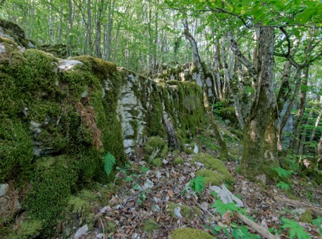 Mur de soutènement