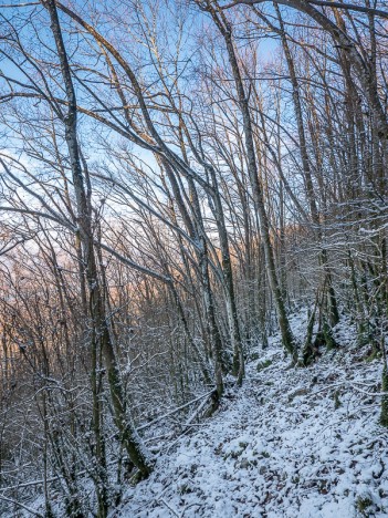 Chemin de la Boissière