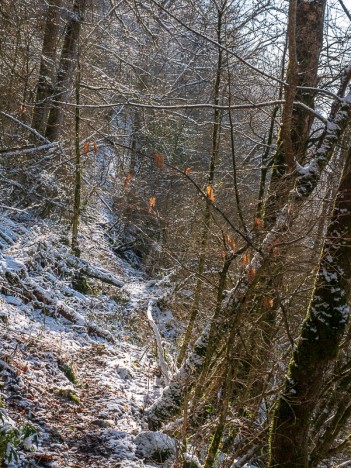 Chemin de la Boissière