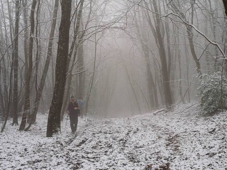 Chemin sous les Ragères