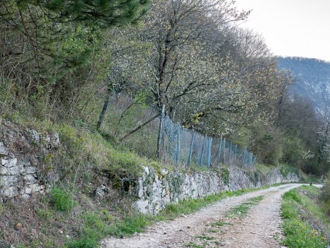 Sente de Sargoin, entre clôture et lisière