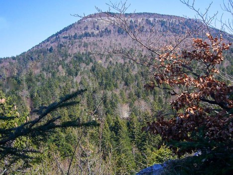Château Richard, vu depuis le plateau de Belledigue