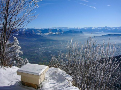 La table d'orientation du Château Richard