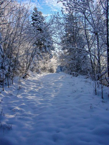 Par la piste de la Grande Vie